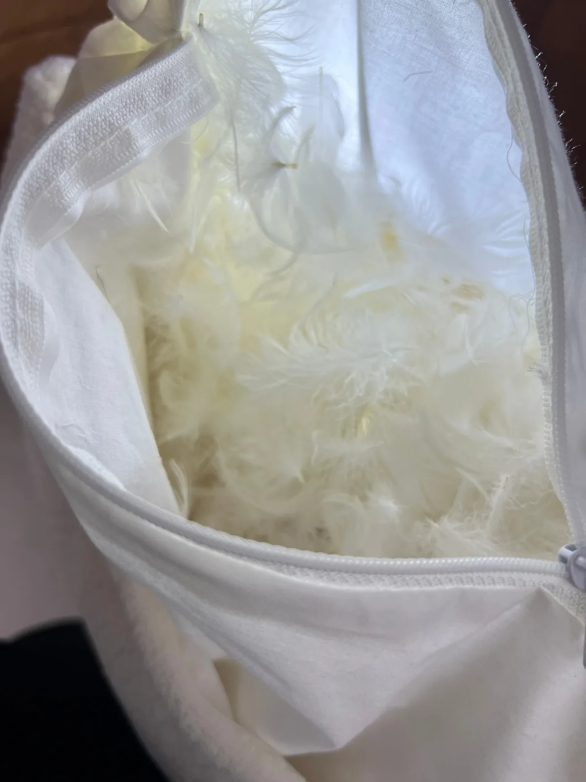 Open cushion inner showing white down and feather fill against the cotton ticking