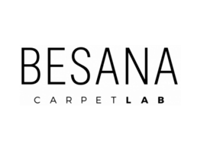 BESANA logo